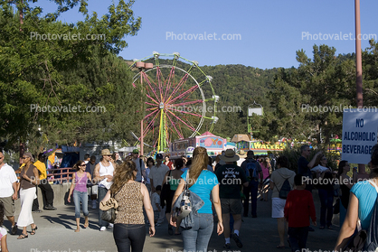 Ferris Wheel, Marin County Fair