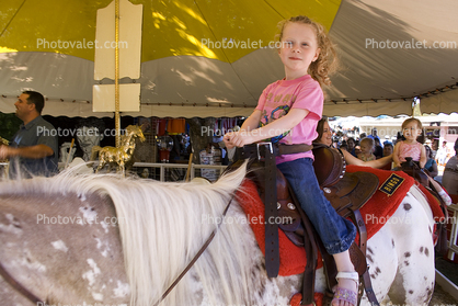 Sonoma County Fair