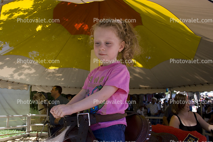 Sonoma County Fair
