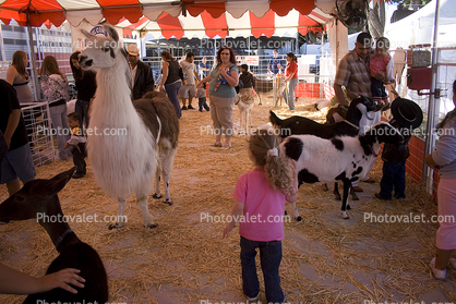 Sonoma County Fair