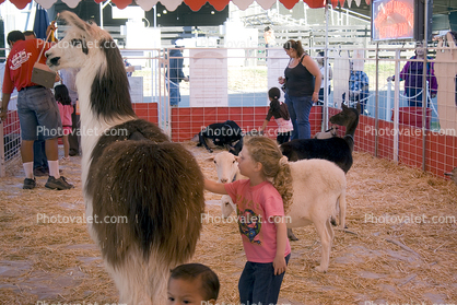 Sonoma County Fair