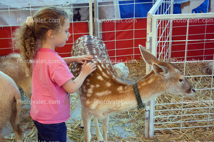 Sonoma County Fair