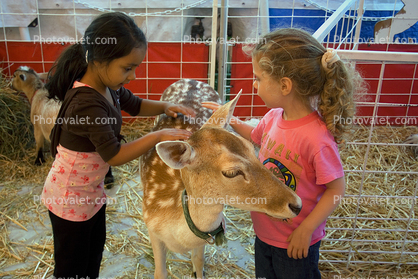 Sonoma County Fair