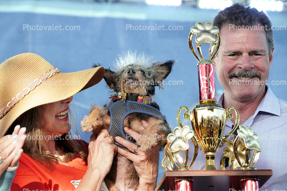 1st Place Winner, World's Ugliest Dog Contest, Sonoma-Marin Fair, 21/06/2019