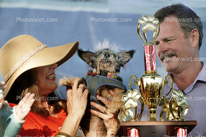 1st Place Winner, World's Ugliest Dog Contest, Sonoma-Marin Fair, 21/06/2019