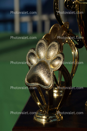 Paw Trophy, World's Ugliest Dog Contest, Sonoma-Marin Fair, 21/06/2019