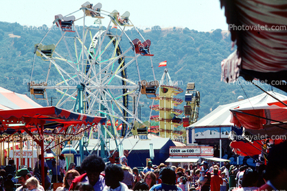 Carousel, crowds, rides, booths, County Fair