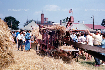 Hay, County Fair, August 1968