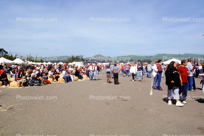 Bodega Bay, Seafood Festival, Sonoma County, California, April 2002