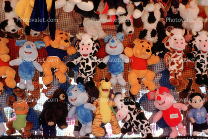 Teddy Bear, stuffed animals, Alameda County Fair