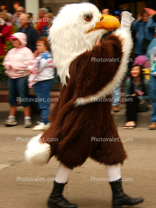 Eagle, Memorial Day Parade, 2005