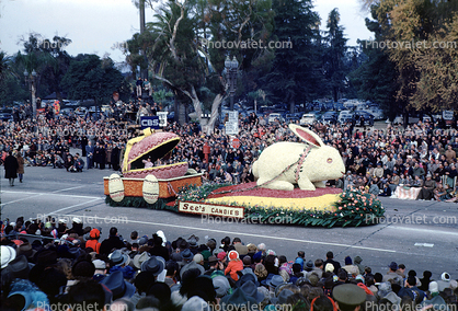 Bunny Rabbit, See's Candies, Hare, Rose Parade, 1950, 1950s