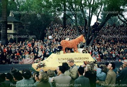 Altadena - Pasadena, Young Democrats, Donkey, Rose Parade, 1950, 1950s