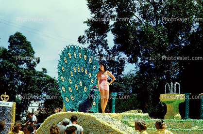 Peacock, Miss Universe Parade, Long Beach, California, July 1955, 1950s