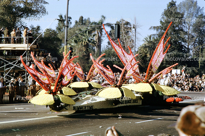 Butterflies, Summertime Orange Juice, Rose Parade, January 1961, 1960s