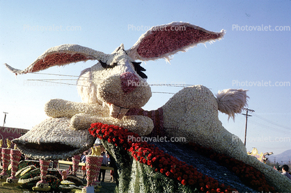 Bunny, Rabbit, ears, bushy tail, cute, scary, Rose Parade, 1960s