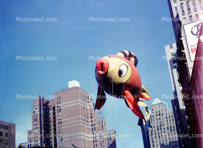 Floating Fish, Helium Balloon, Macy's Thanksgiving Day Parade, 1951, 1950s