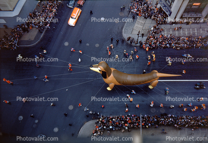 Freida the Dachshund, People Crowds, Macy's Thanksgiving Day Parade, 1949