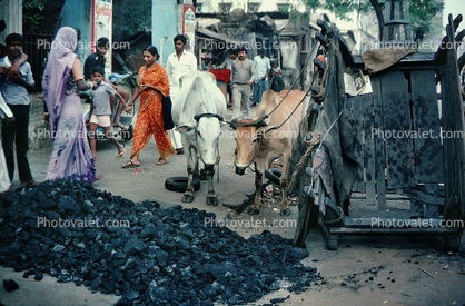 Coal Delivery, Women, Saree, Mumbai