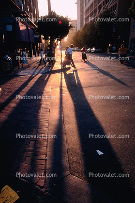 street, Berkeley California, Street, sunlight, shadow
