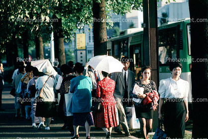 Women, Umbrella, Walking, Tokyo