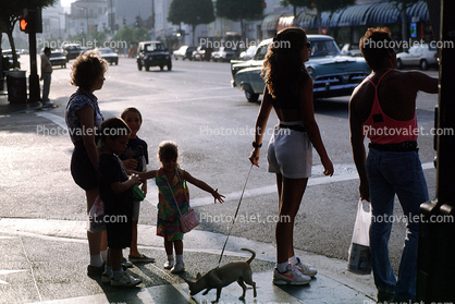 Corner, Woman, Street, Chihuahua