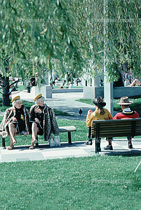 Twins, Twins, Bench, Women, Willow Tree, Path, Hats