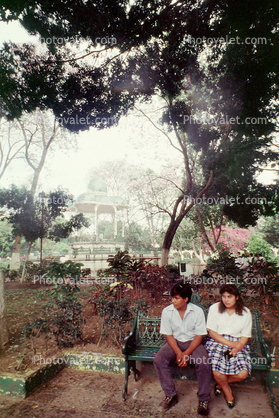 Couple sitting on a bench, trees, Oaxaca, Mexico