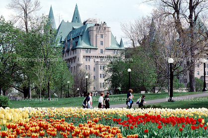 Tulips, Building, Castle, Palace, Ottawa