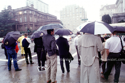 Rainy Day, Nob Hill, crosswalk