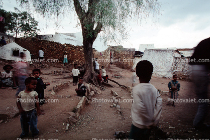 Portfolio, boys, tree, back, slums, stone wall 