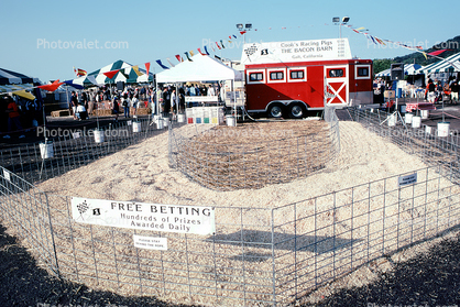 Free Betting, Marin County Fair, California