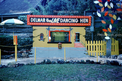 Delmar the Live Dancing Hen, Storybook