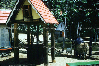 Wishing Well, Santa's Workshop, Llama, North Pole, Adirondack Mountains, 1953, 1950s