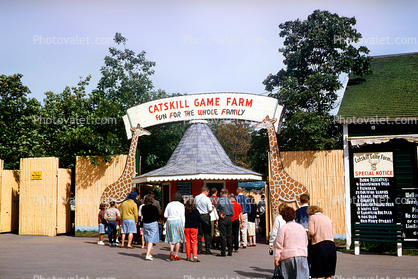 Catskill Game Farm, Entrance, Giraffes, September 1965, 1960s