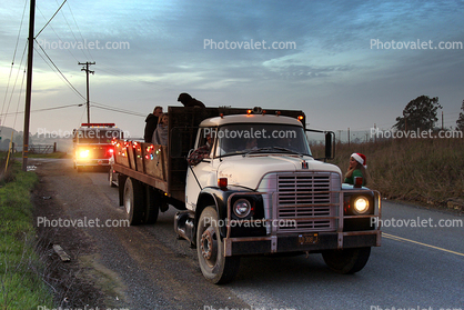 Christmas Caroling, Sonoma County