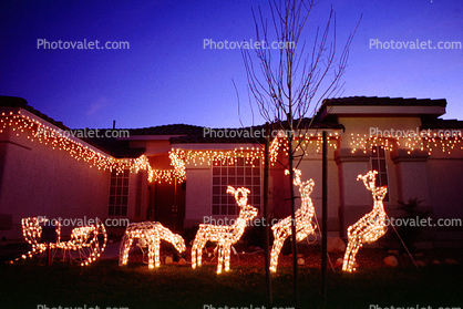 Sled, reindeer, Christmas Lights, Home, House, Building, Residence, Residential