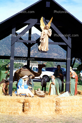 Nativity Scene, Angel, manger, Baby Jesus, crib, lamb, Mother Mary, camels, hay, Three Wisemen
