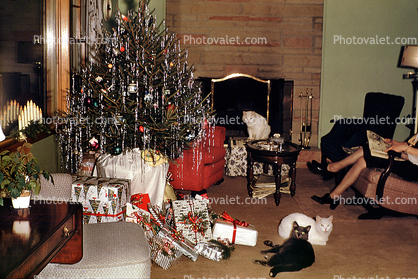 Many Cats, Tinsel Tree, wrapped Presents, fireplace, 1950s