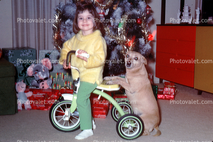Girl, brand new tricycle, dog, tree, smiles, cute, funny, 1960s