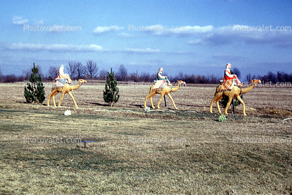 Nativity Scene, camels, figures, Three Wisemen, January 1959, 1950s