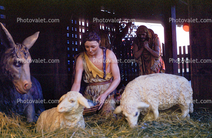 Nativity Scene, lambs, donkey, gifts