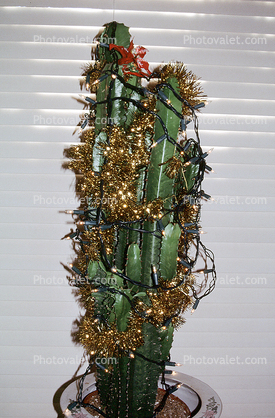 cactus Tree, Decorations, Ornaments, funny, humorous, velour blinds, 1950s