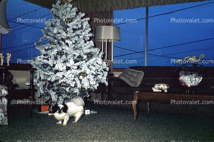 Tree, Decorations, Ornaments, Presents, 1950s