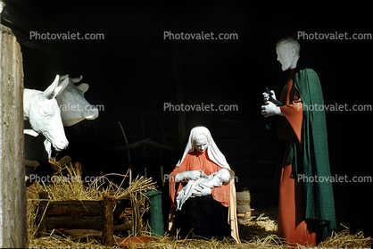 Oxen, Ass, Nativity Scene, Madonna and Child, Jesus, Mary, Joseph, Statue, Figurines