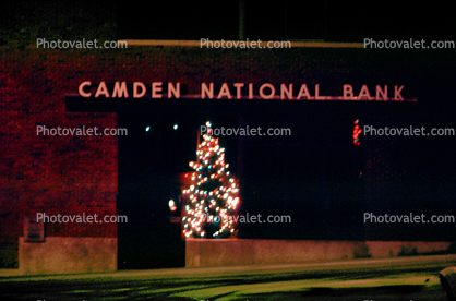 Camden National Bank, tree