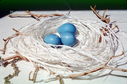 Blue eggs, paper nest, jewelry, twigs