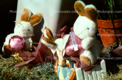 Bunny Rabbit, roses, egg, chocolate