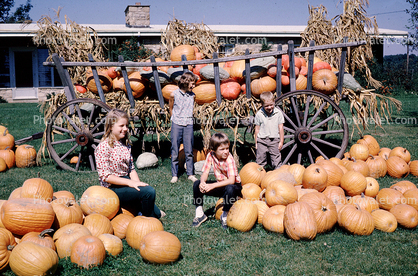 Wagon, Pumpkins, 1950s