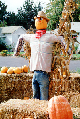 Cowboy, Scarecrow, Sebastopol, California